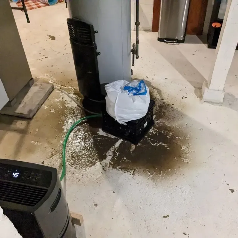 Sewage Backup Cleanup Service in Marianna, AR
